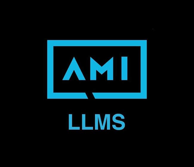 Auto update LLMS Wordpress Plugin